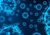 Maladies Infectieuses